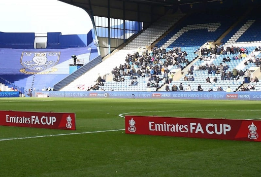 football pitch with sponorship flags on the pitch